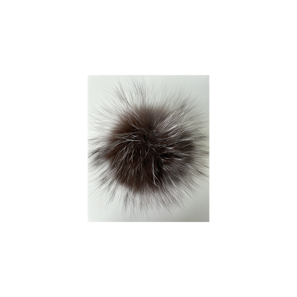 Stor VASKEBJRN dusk Mrk brun med slvgr spisser